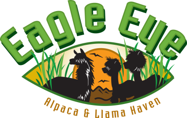 EagleEye_Logo2010Fin