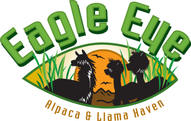 EagleEye_Logo2010Fin